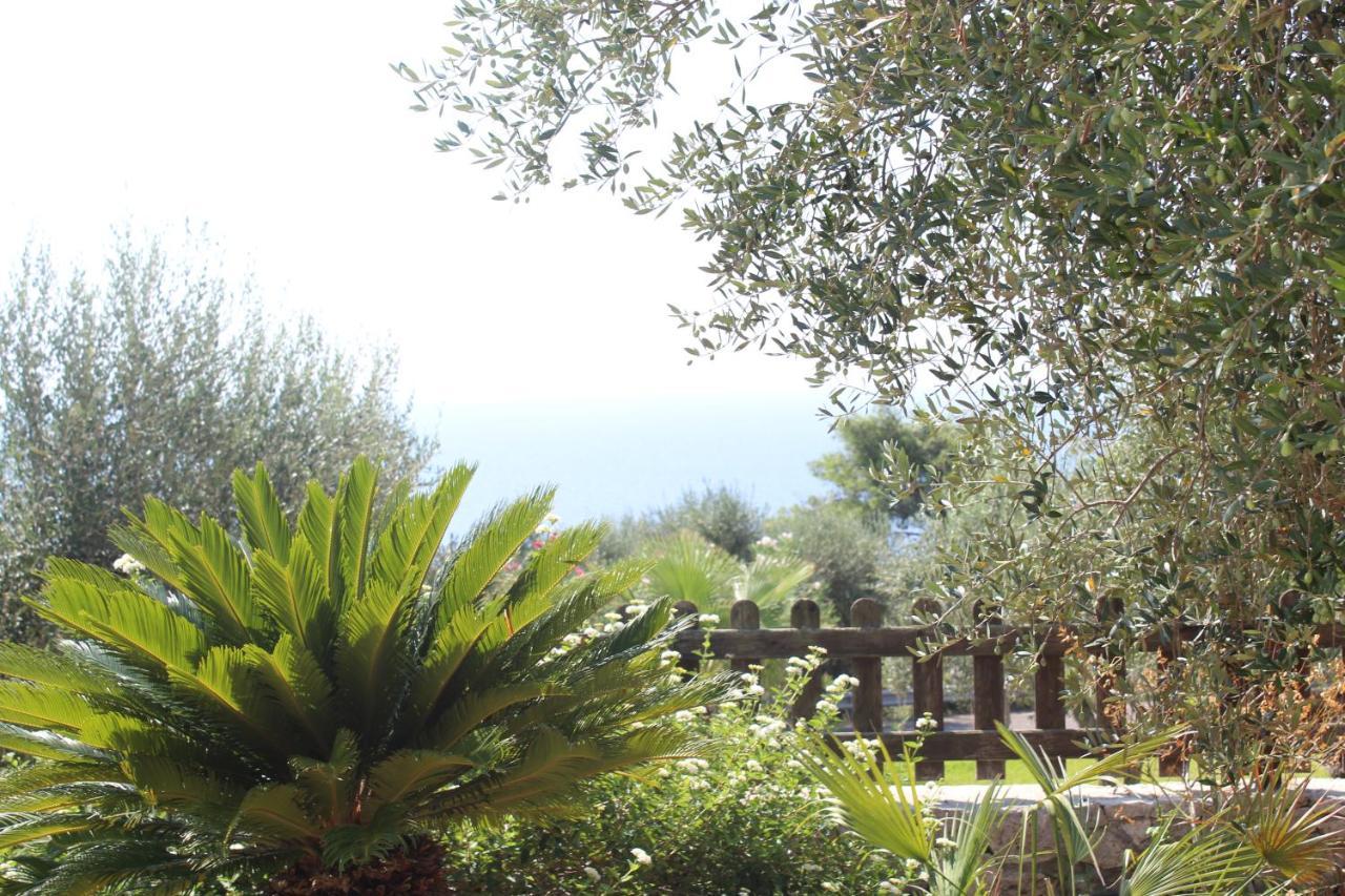 Amoru Bed&Breakfast Castro  Exterior foto