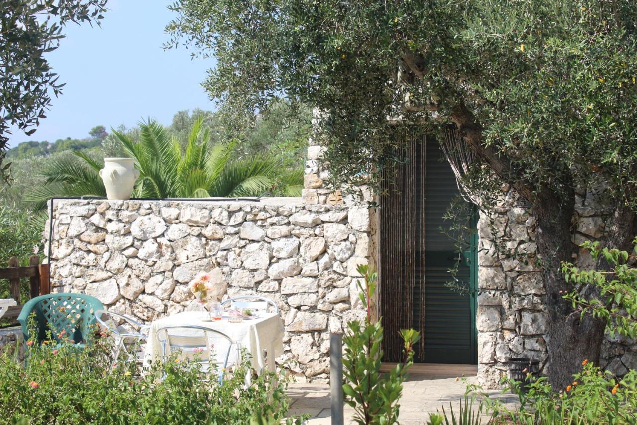 Amoru Bed&Breakfast Castro  Exterior foto